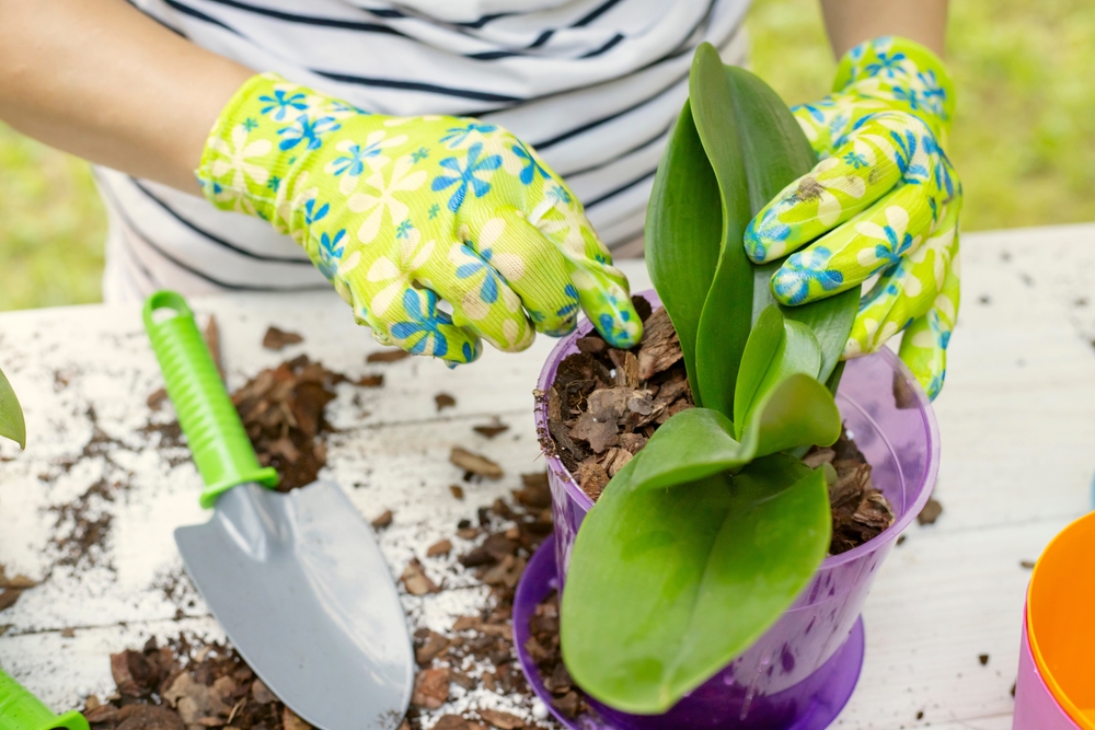 9 Gardening Supplies You Should Buy Before Spring Prices Rise