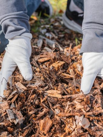 Mulch Thickness Matters Most Now