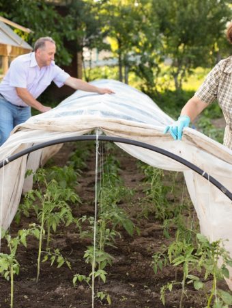There Are Many DIY Cold-Frame Hacks for Winter Veggies