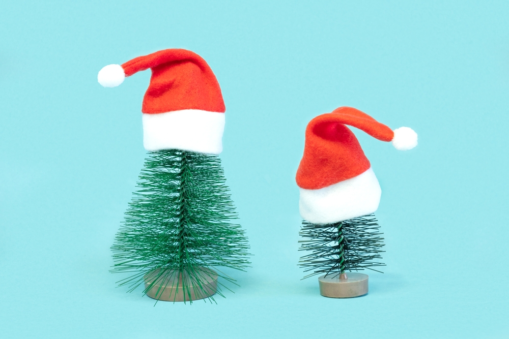 Some Holiday-Themed Planters Make Your Garden Festive in December