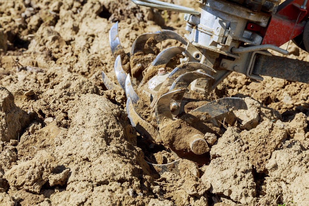 Here Are 5 Weirdly Useful Garden Tools You’ll End Up Using Every Day