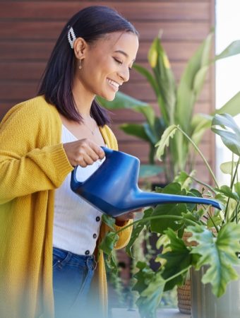 What Garden Experts Say Most Beginners Get Wrong in January