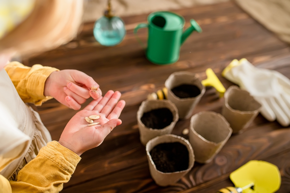 The Smart Way to Store Garden Seeds During the Holidays