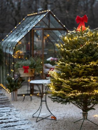 You Can Keep Your Garden Alive While You’re Enjoying the Holidays