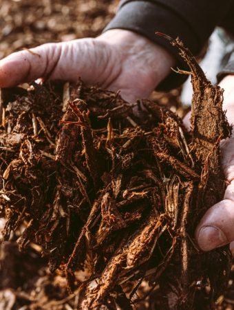 Could You Be Wasting Money On Garden Mulch That Doesn’t Work?
