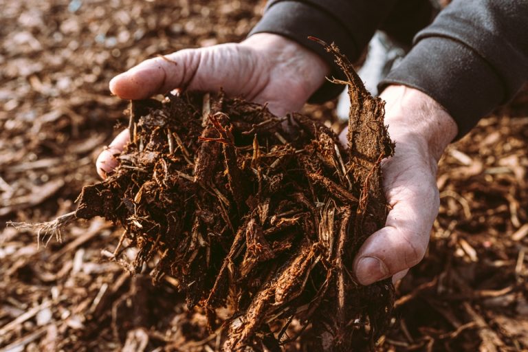 Could You Be Wasting Money On Garden Mulch That Doesn’t Work?