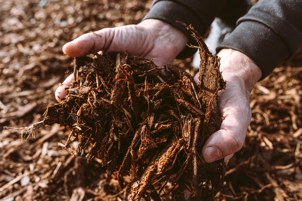 Could You Be Wasting Money On Garden Mulch That Doesn’t Work?