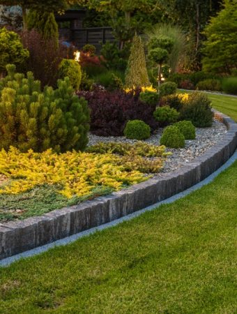 Garden Lighting Changes Everything in the Winter Landscape