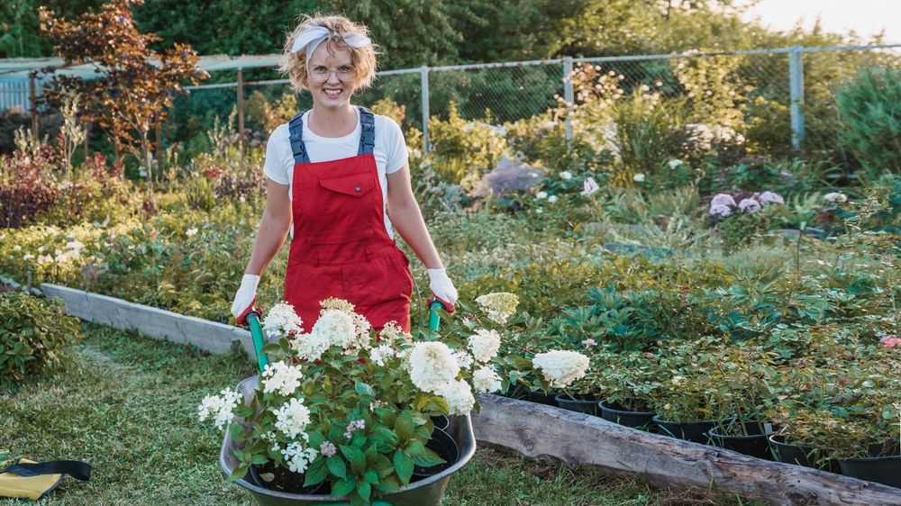 There Are Certain Tools You’ll Need For Your Winter Garden Setup
