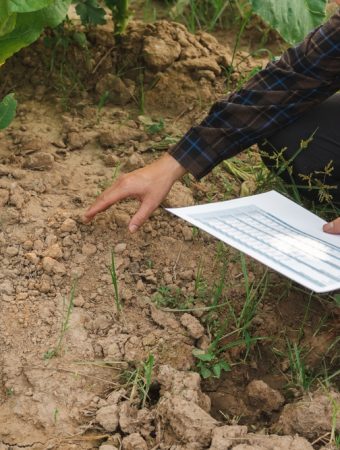 The Surprising Reason Your Soil Gets Worse Each Year