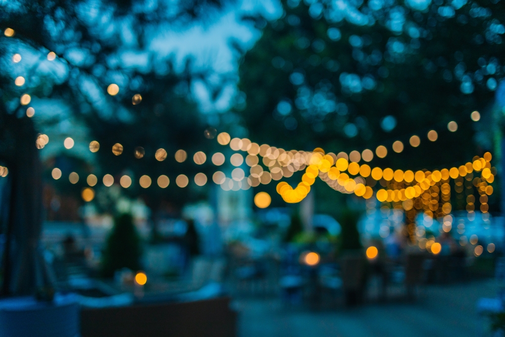 You Can Repurpose Leftover Holiday Lights for Garden Use