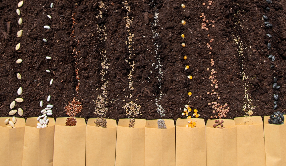 Here Are 6 Garden Journal Prompts to Prepare for Spring While It’s Snowing