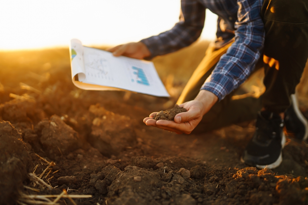 There Are December Gardening Tasks That Most Homegrowers Forget