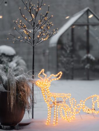 Why Your Garden Deserves Attention During the Holidays