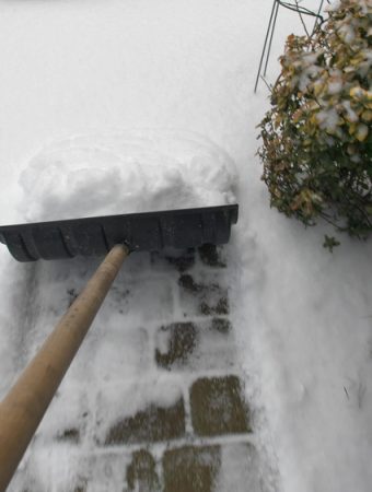 You Should Refresh Mulch Around Trees Before The First Snow