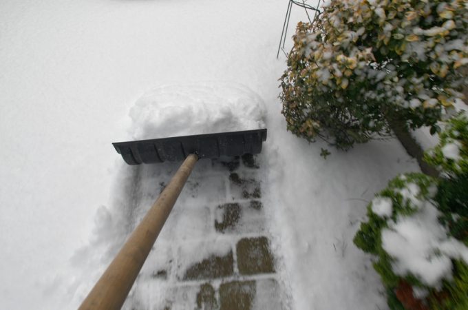 You Should Refresh Mulch Around Trees Before The First Snow