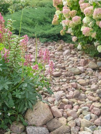 7 Garden Layout Ideas That Fix Common Mistakes Instantly