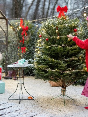 There Are Ways to Recycle Holiday Decor into Garden Uses