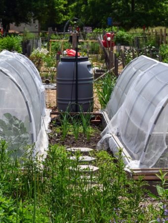 There Are Many Garden Bags & Covers That Outperform Tarps in Freezing Temps