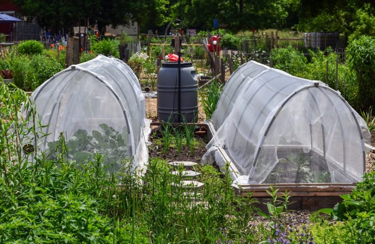 There Are Many Garden Bags & Covers That Outperform Tarps in Freezing Temps
