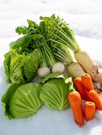 Can You Actually Grow Vegetables Outside in December?