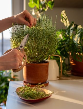 There Are Budget-Friendly Winter Garden Projects You Can Finish Before Spring