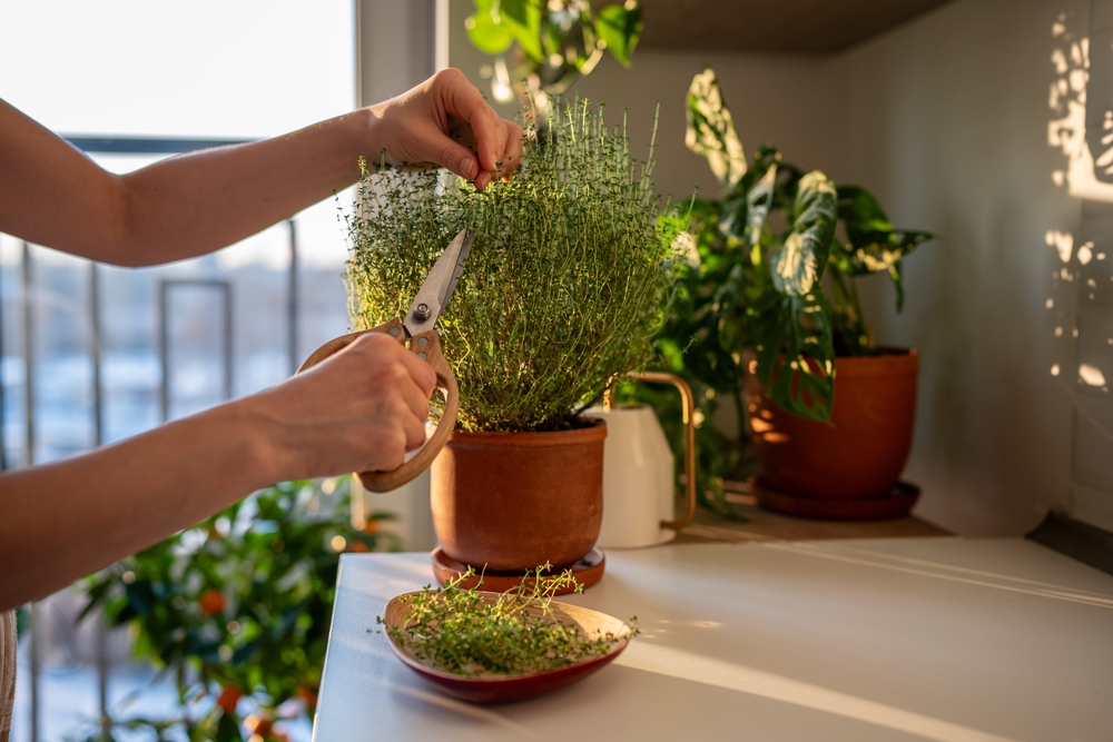 There Are Budget-Friendly Winter Garden Projects You Can Finish Before Spring