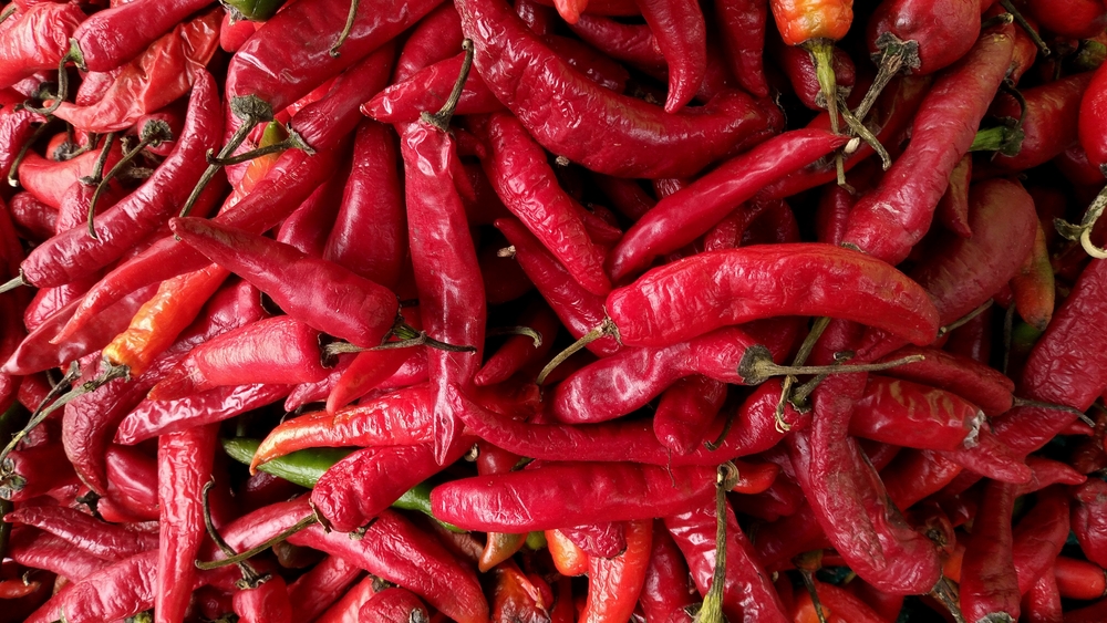 7 Container Gardens You Can Move Indoors for Winter Success