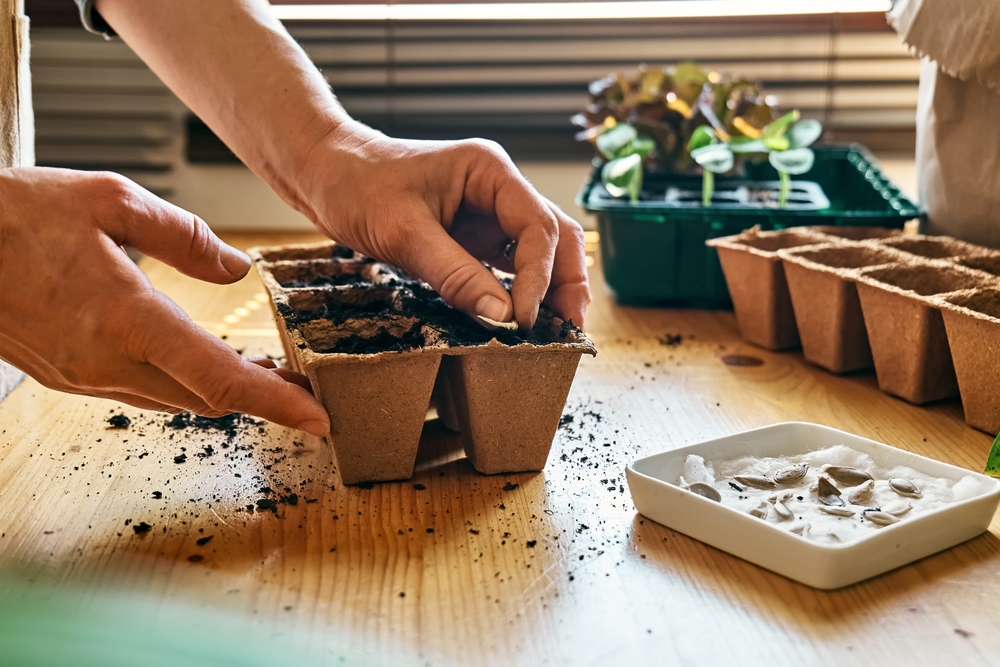 Is Starting Seeds Indoors in Winter Really Worth the Cost?