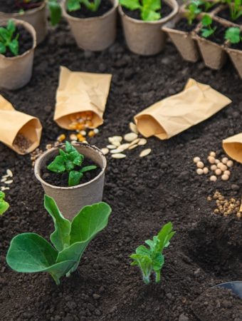 Does Your Garden Have the Right Soil Mix for Winter Planting?