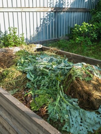 Compost Tea Works Better in Cool Soil