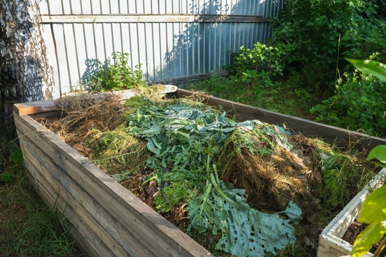 Compost Tea Works Better in Cool Soil