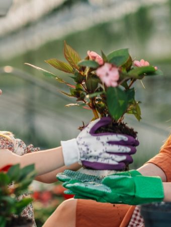 Here Are 12 Garden Gifts Every Plant Lover Actually Uses All Year