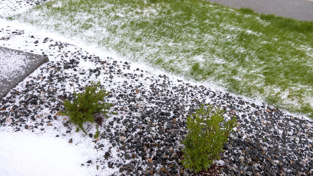 The Impact Of Snow And Ice On Your Garden Isn’t What You Think
