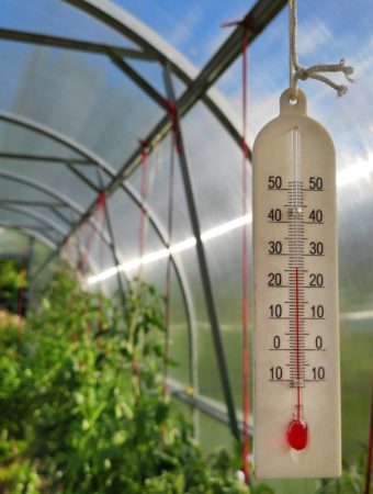 Is Your Garden Prepared for Rapid Temperature Swings?