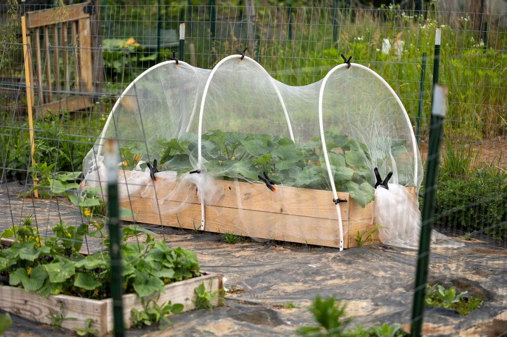 What’s the Real Benefit of Using Garden Covers and Tunnels?