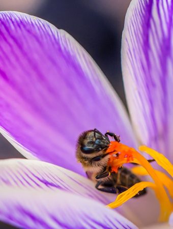 Here Are 10 Garden Trends Set to Take Over in the New Year