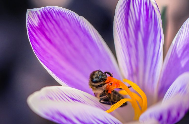 Here Are 10 Garden Trends Set to Take Over in the New Year