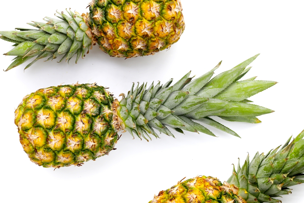 Here Are 8 Backyard Fruits No One Knows You Can Grow in Small Spaces