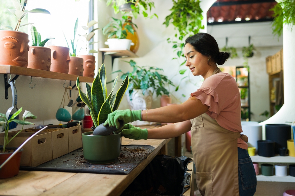 This Low-Light Plant Might Be the Easiest Thing You Ever Growd