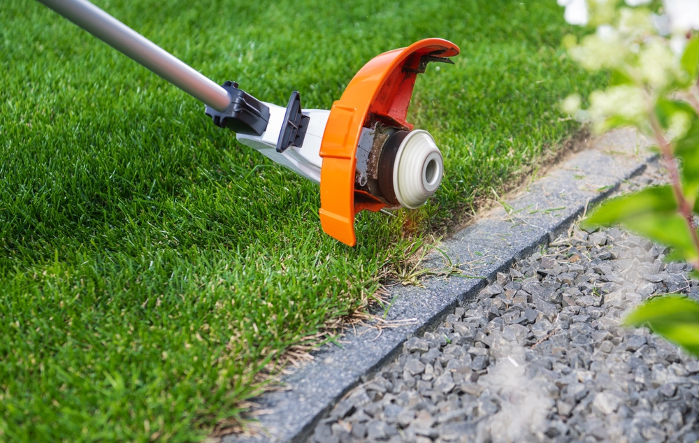 7 Garden Layout Ideas That Fix Common Mistakes Instantly