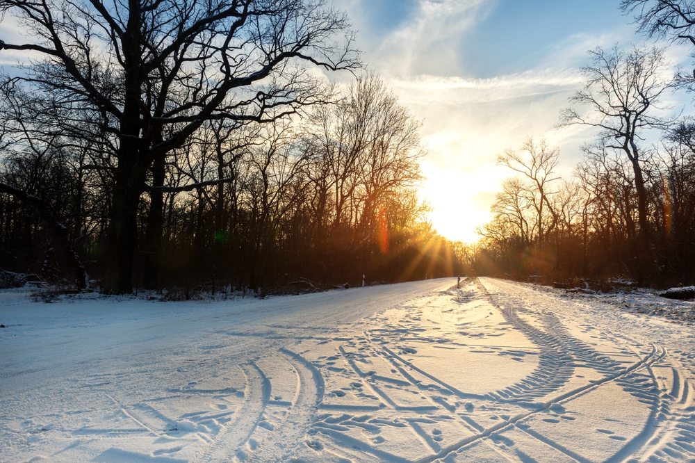 Do You Need a Cold Frame to Grow in December?