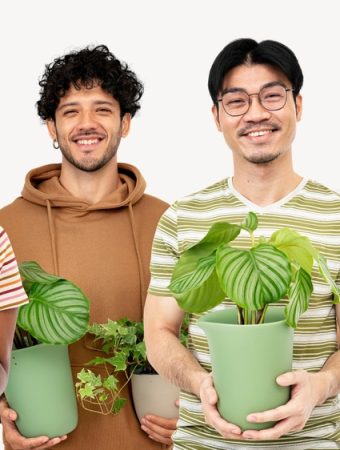 Why Gardeners Are Falling in Love With Unusual Houseplants This Year