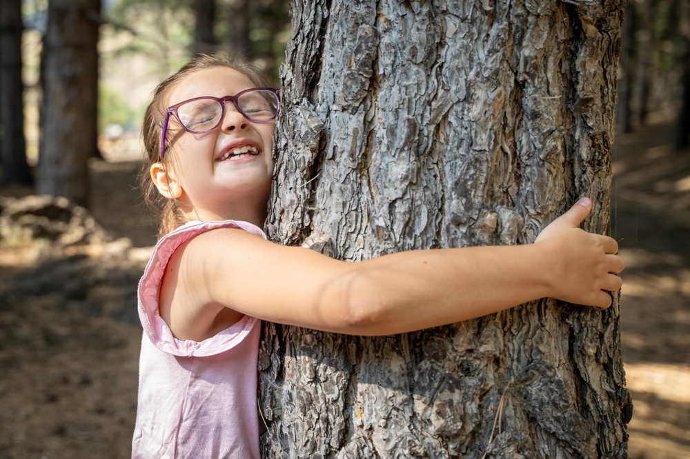 There Are Many Ways To Use Evergreens, Berries & Bark For Winter Garden Interest