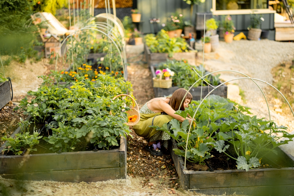 Here Are 5 DIY Raised Beds That Keep Working Under Frost