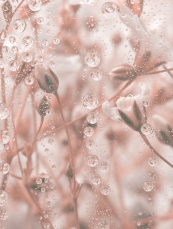 There Are Certain Things That Every Gardener Should Know About Frost Protection