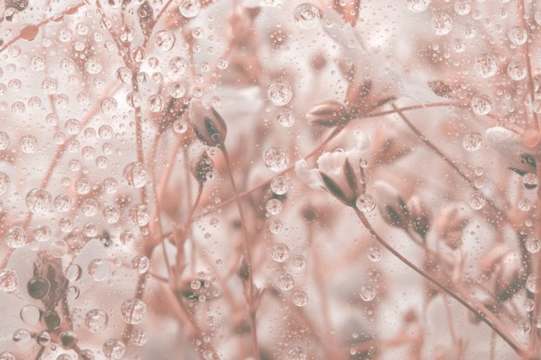 There Are Certain Things That Every Gardener Should Know About Frost Protection