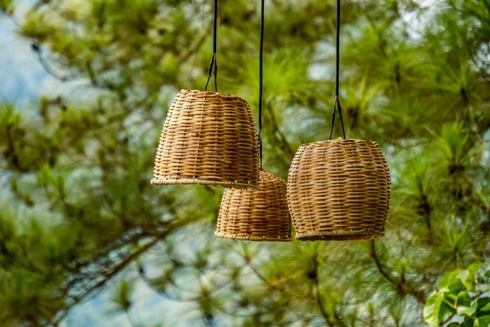 There Are Many Containers You Can Use To Grow Winter Annuals