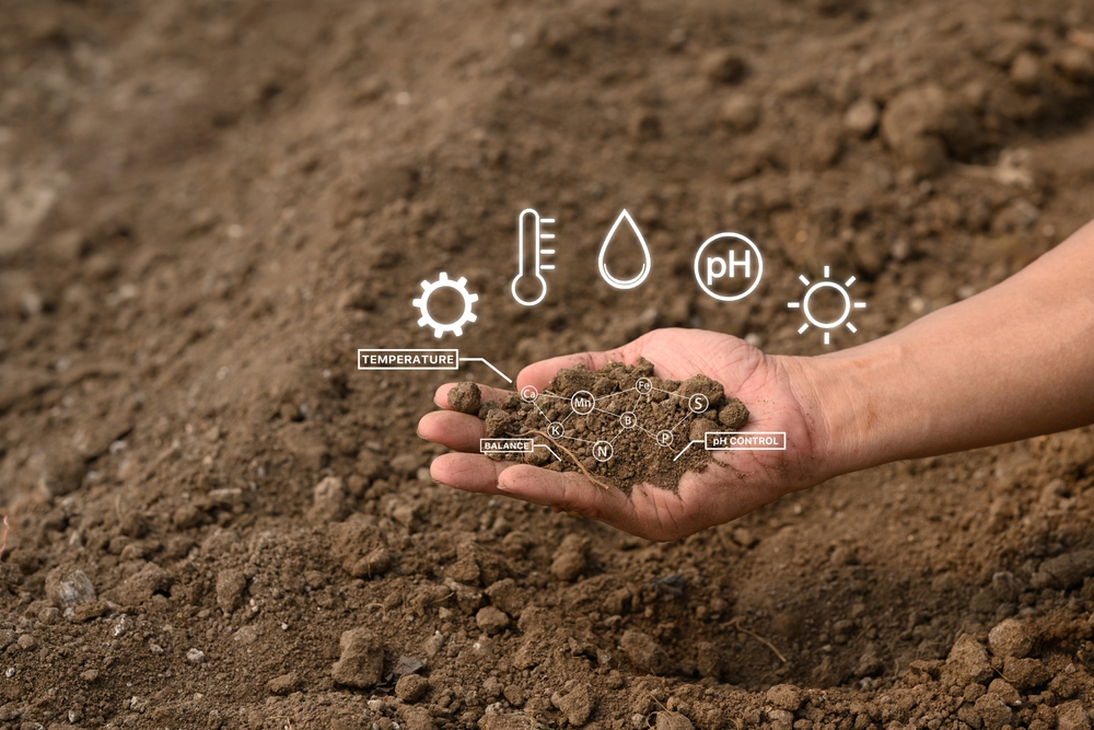 The Surprising Reason Your Soil Gets Worse Each Year