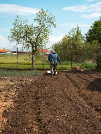 Why You Should Rethink Tilling Your Soil This Year
